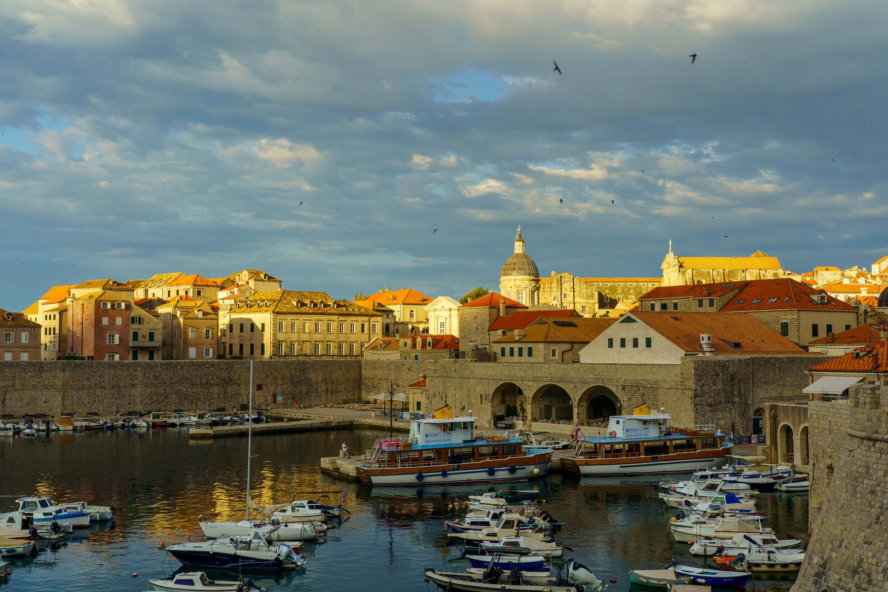 Dubrovnik's old port glowing in the morning light
