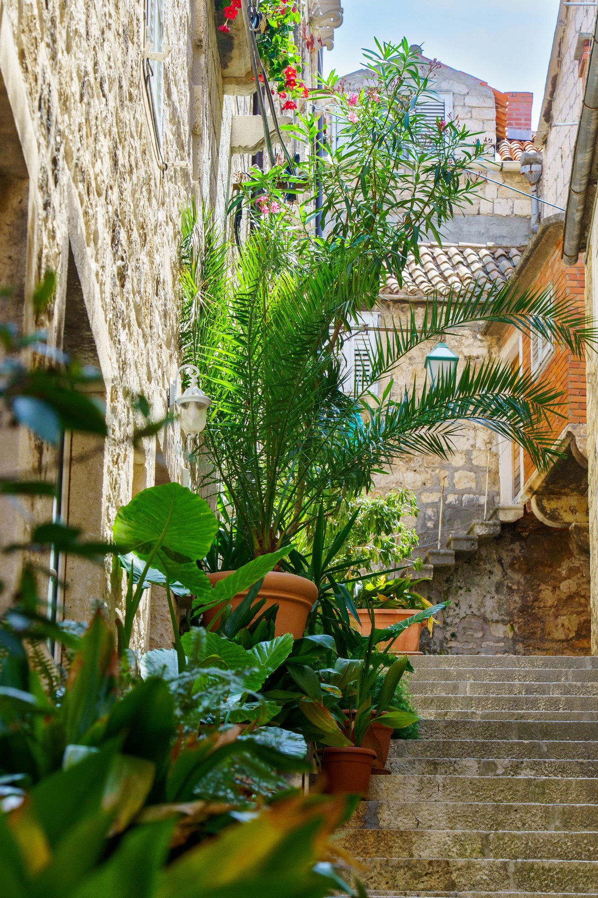Climbing a stone stairway lined with plants in a Hvar hillside alley