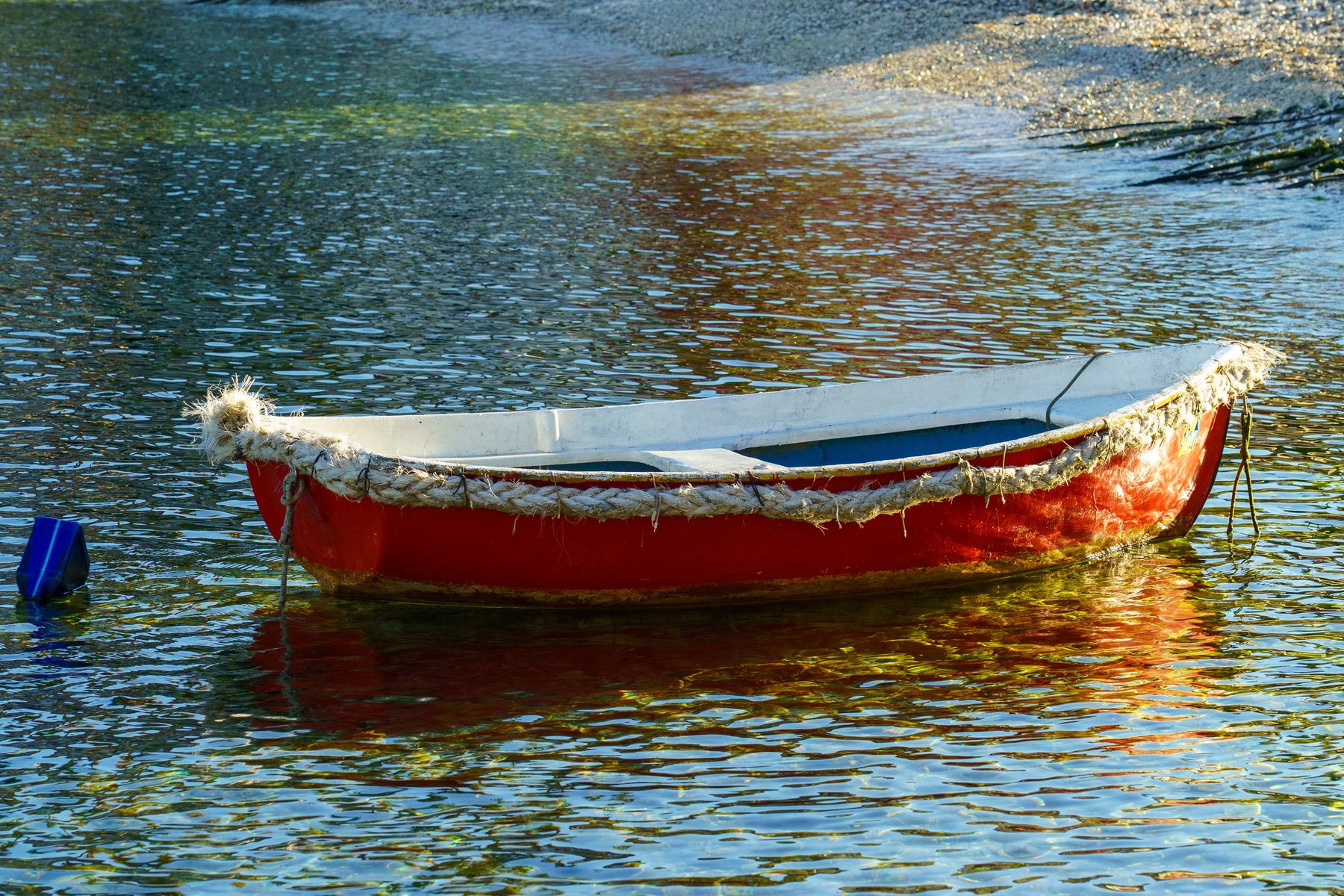 Red rowboat catching first light on the water