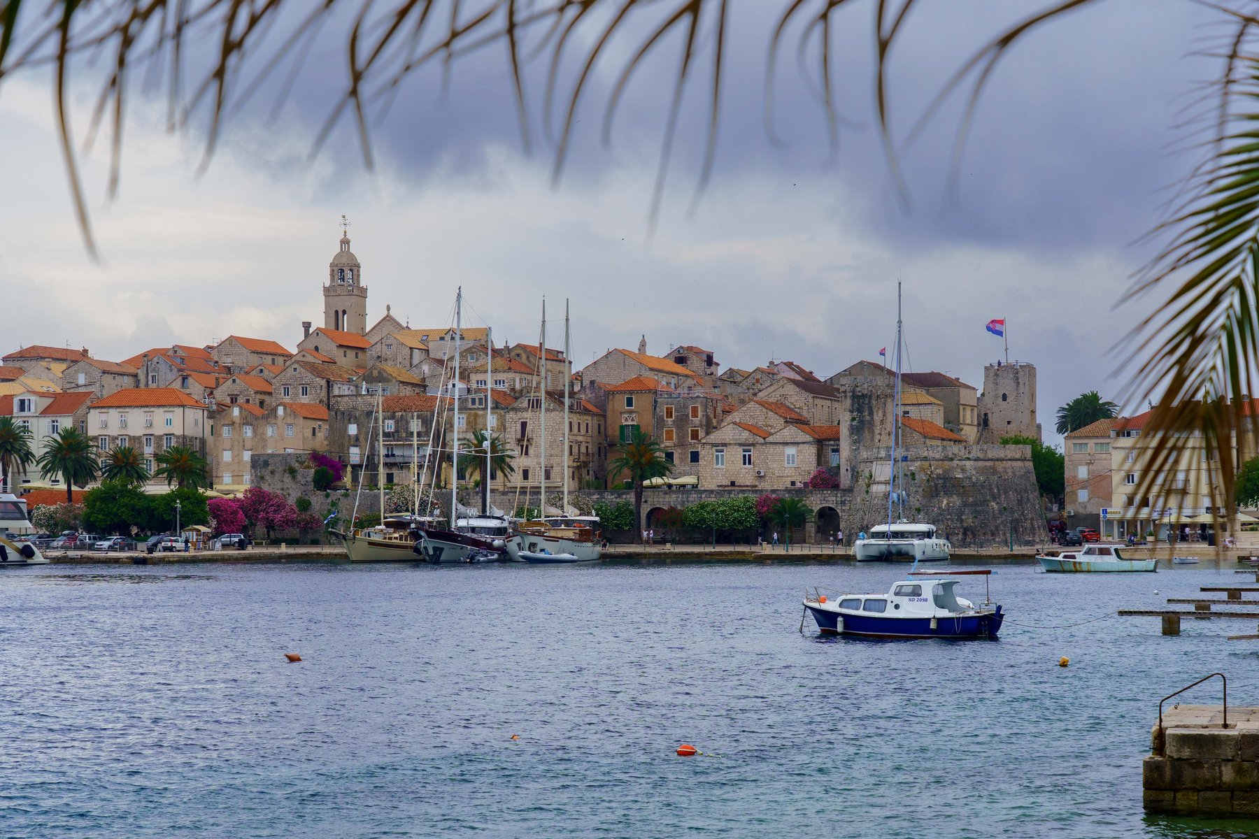 Korčula's old town seen through palm trees