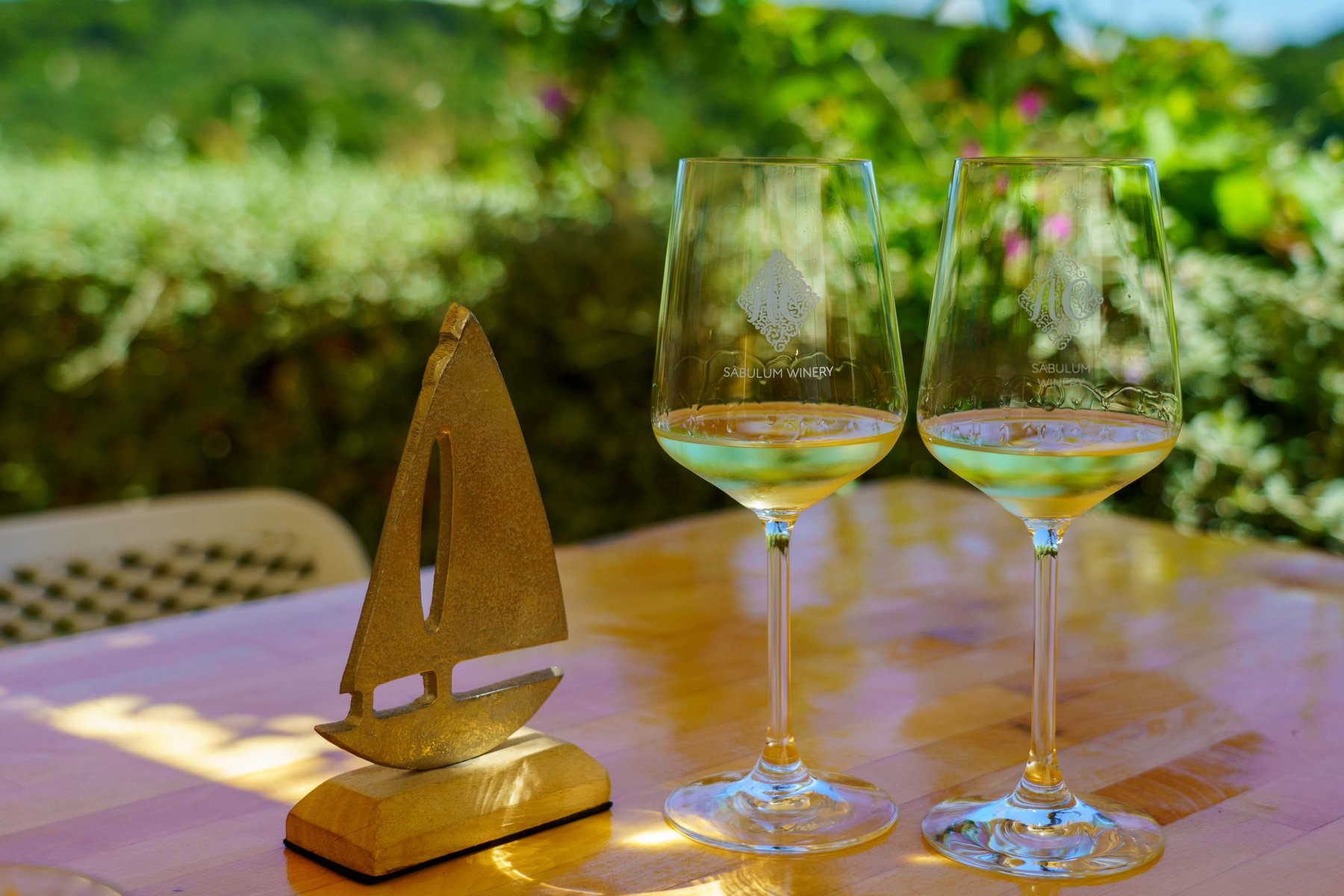Admiring the vineyard view at Sabulum Winery in Lumbarda