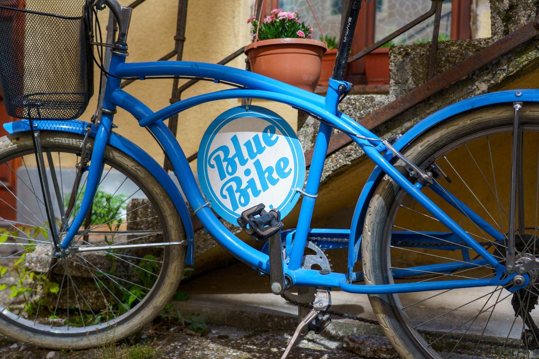 Exploring the old town by bike