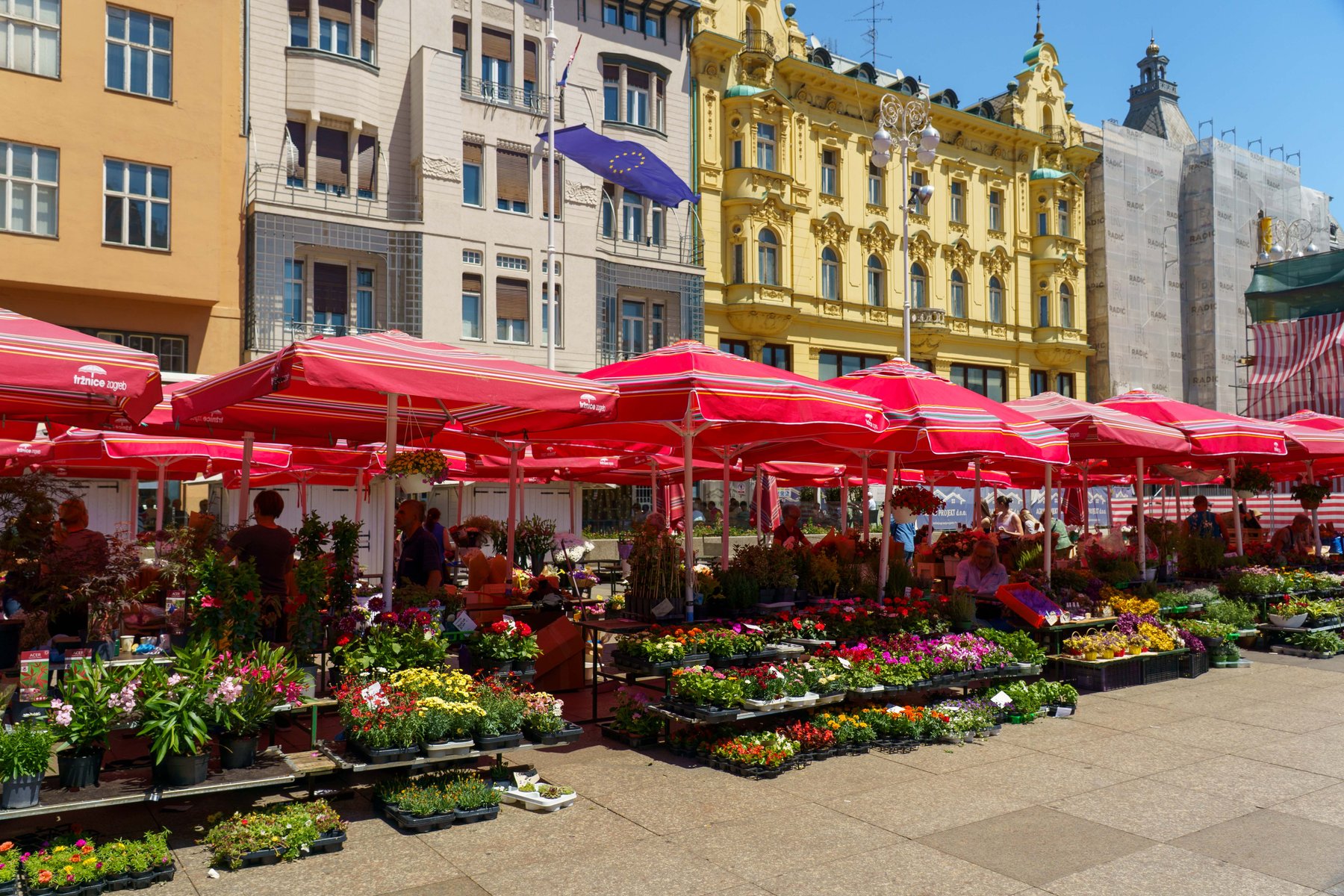 Flower stalls at Dolac Market