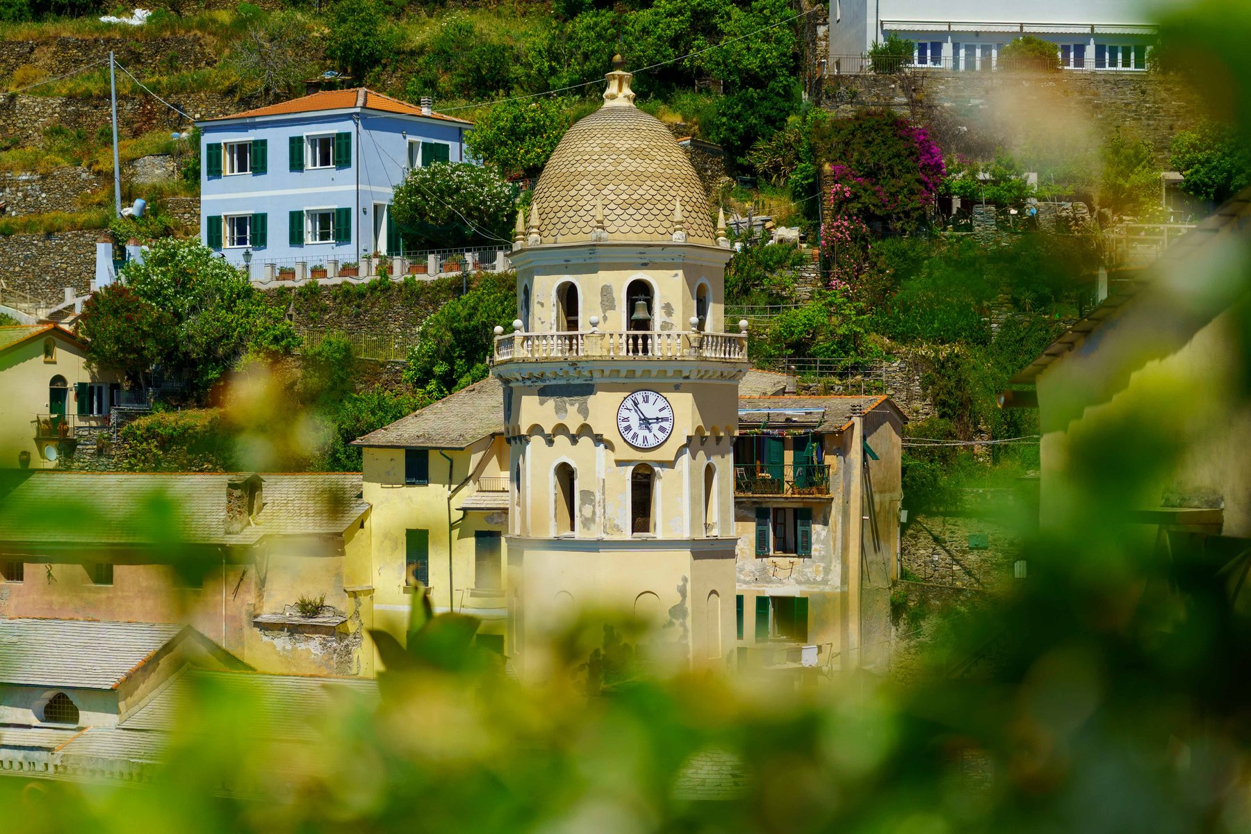 The Vernazza bell tower framed through vines