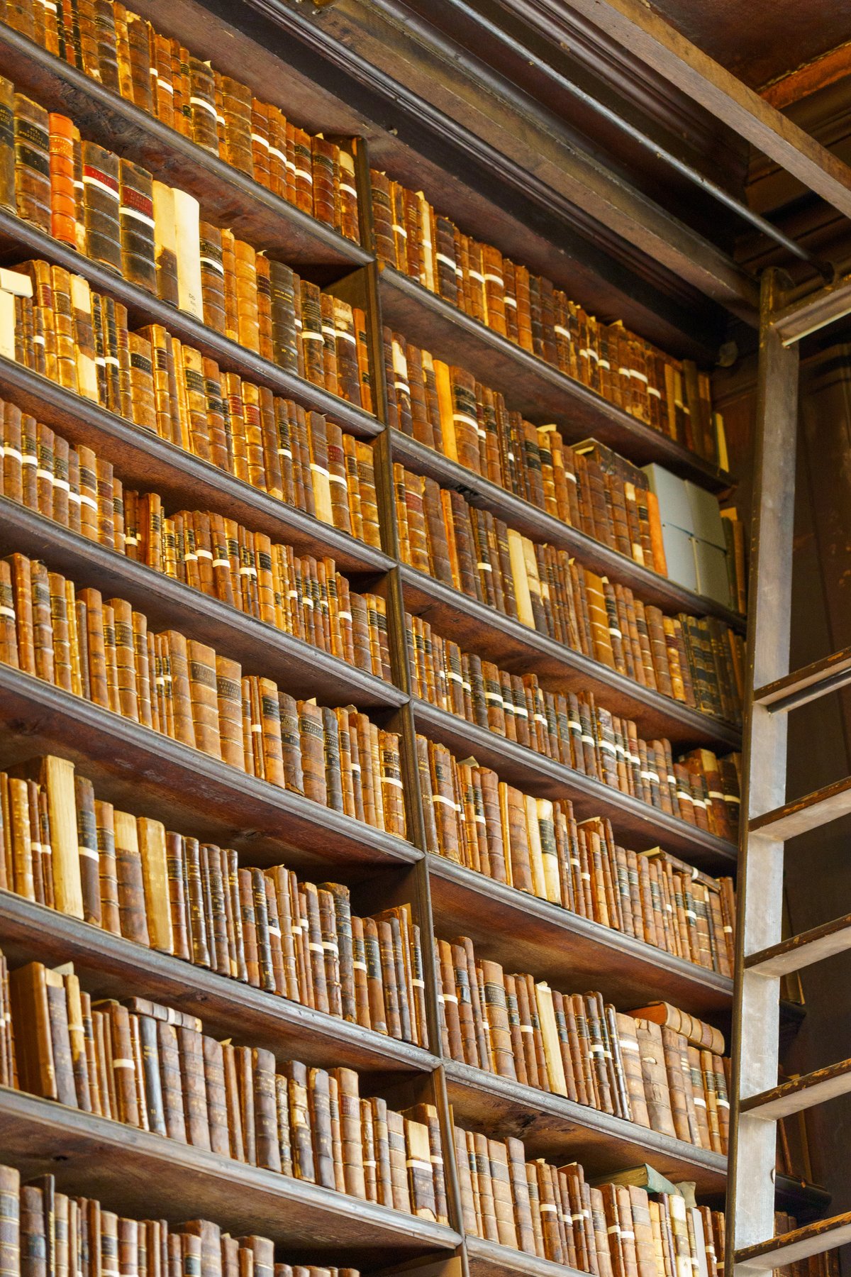 Rows of centuries-old leather-bound books lining the shelves of the Long Room at Trinity College
