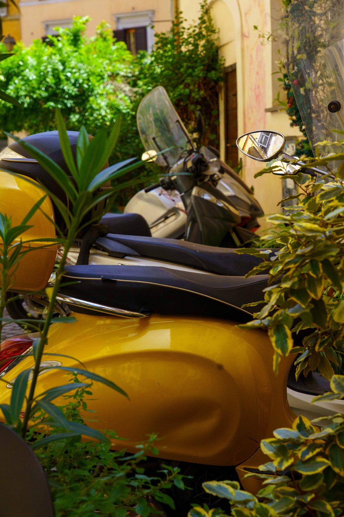 Scooters parked among greenery near Dar Poeta in Trastevere