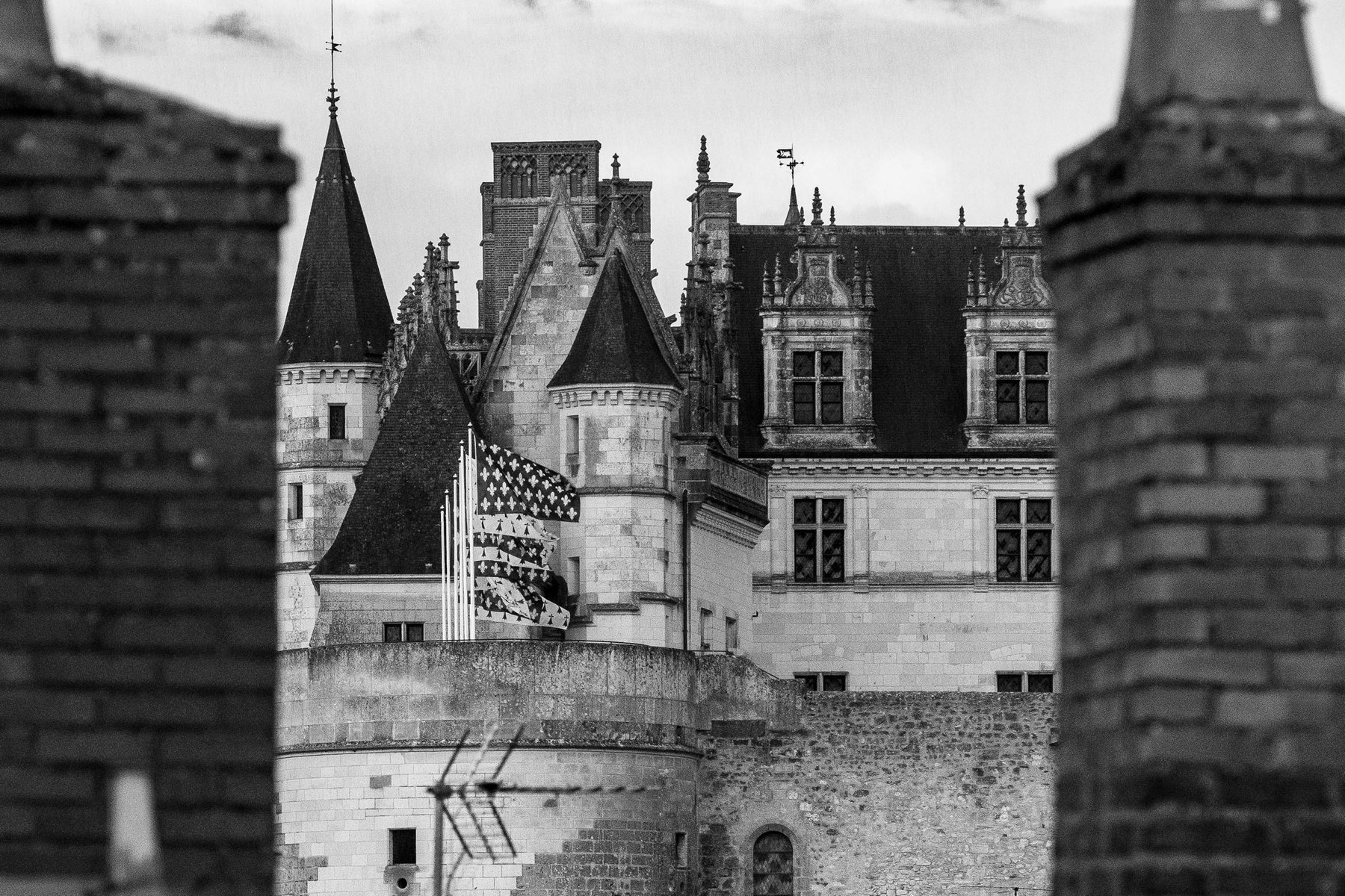 The Chateau d'Amboise's rooftops in black and white