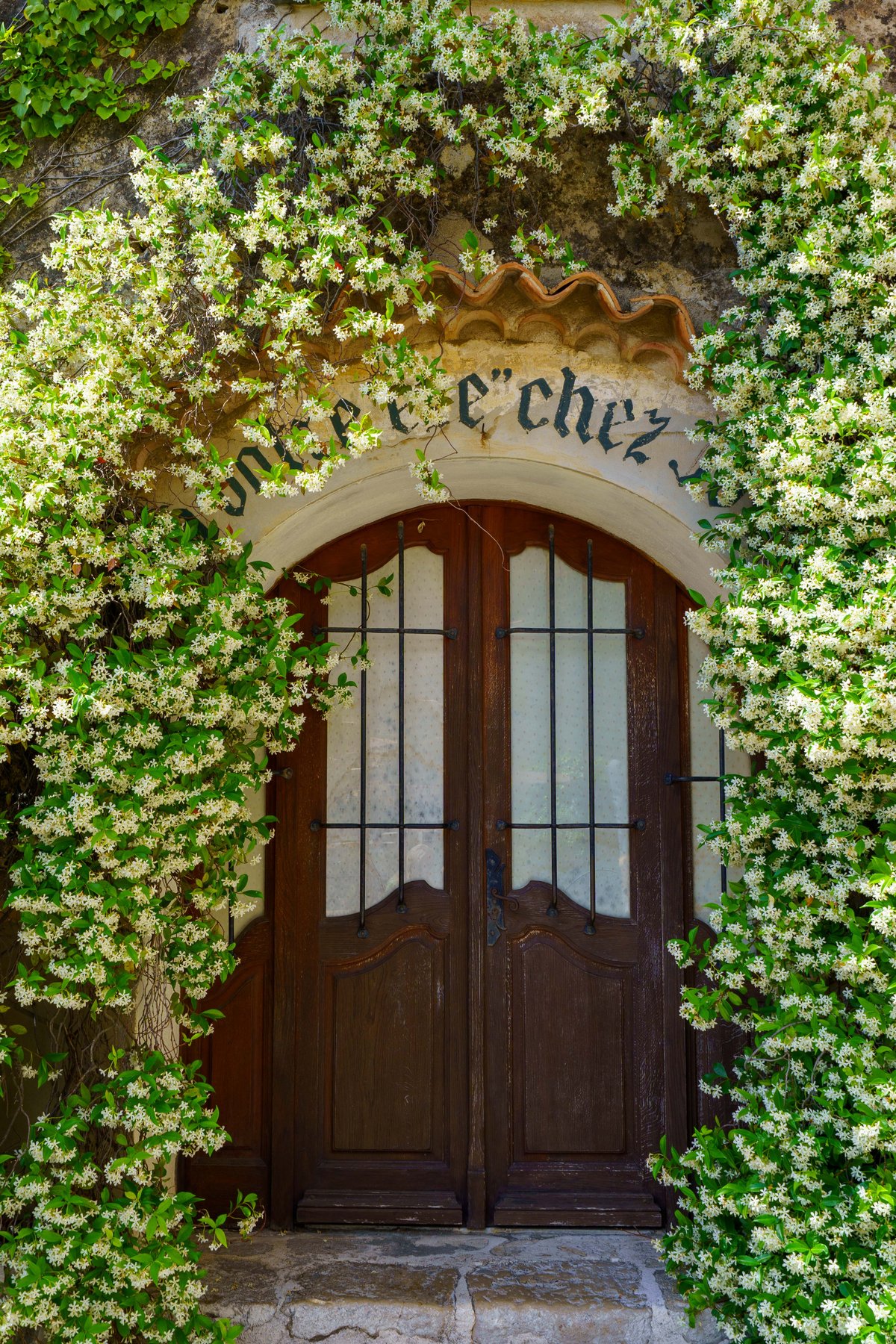 A jasmine-covered doorway in Eze's old town