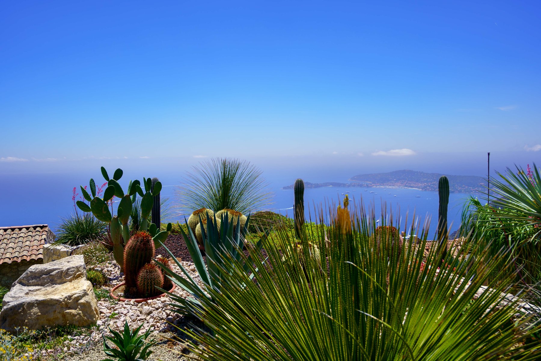 The Jardin Exotique d'Eze, cacti framing the coastline below
