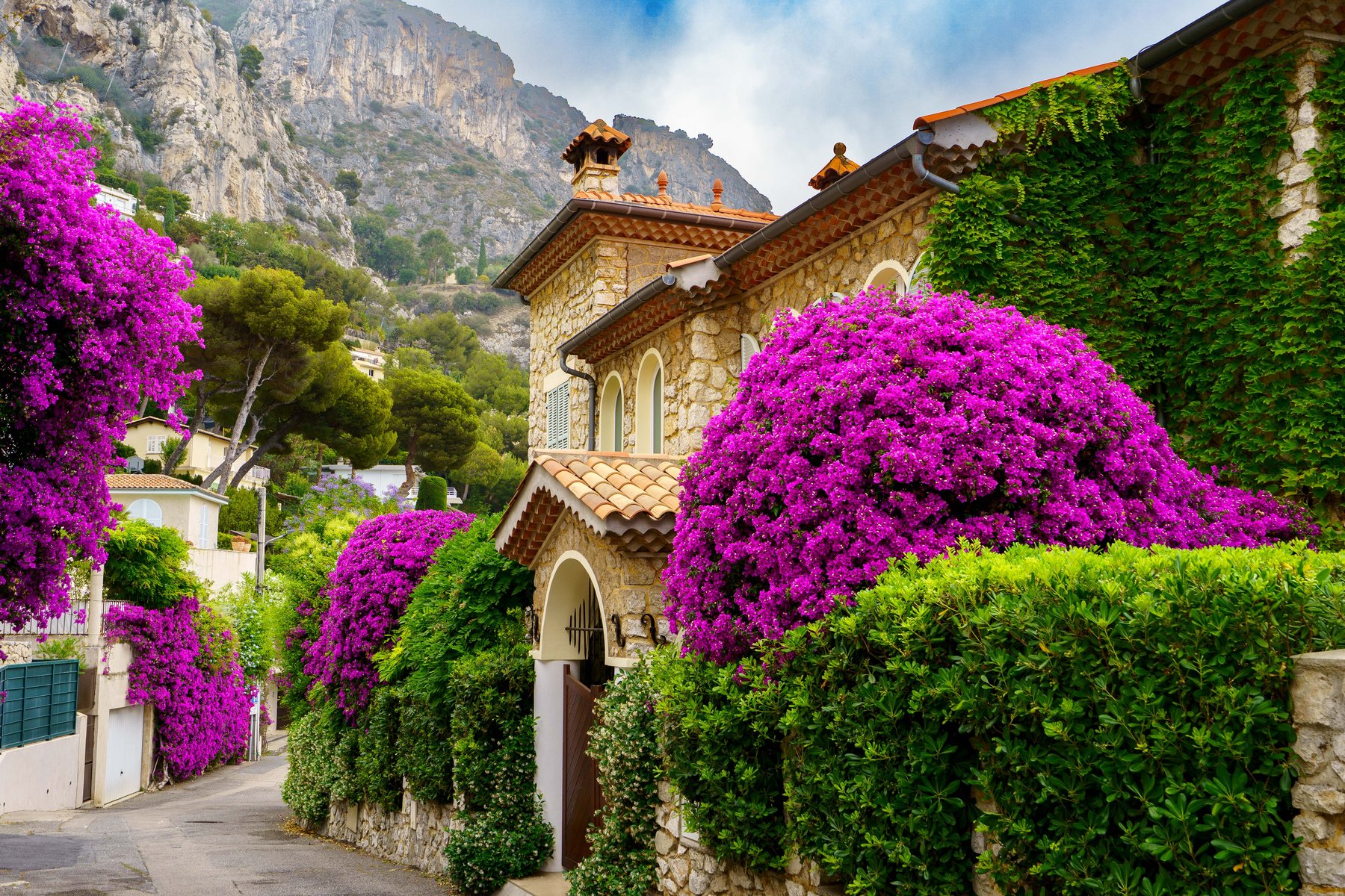 A bougainvillea-covered stone house near Eze-sur-Mer
