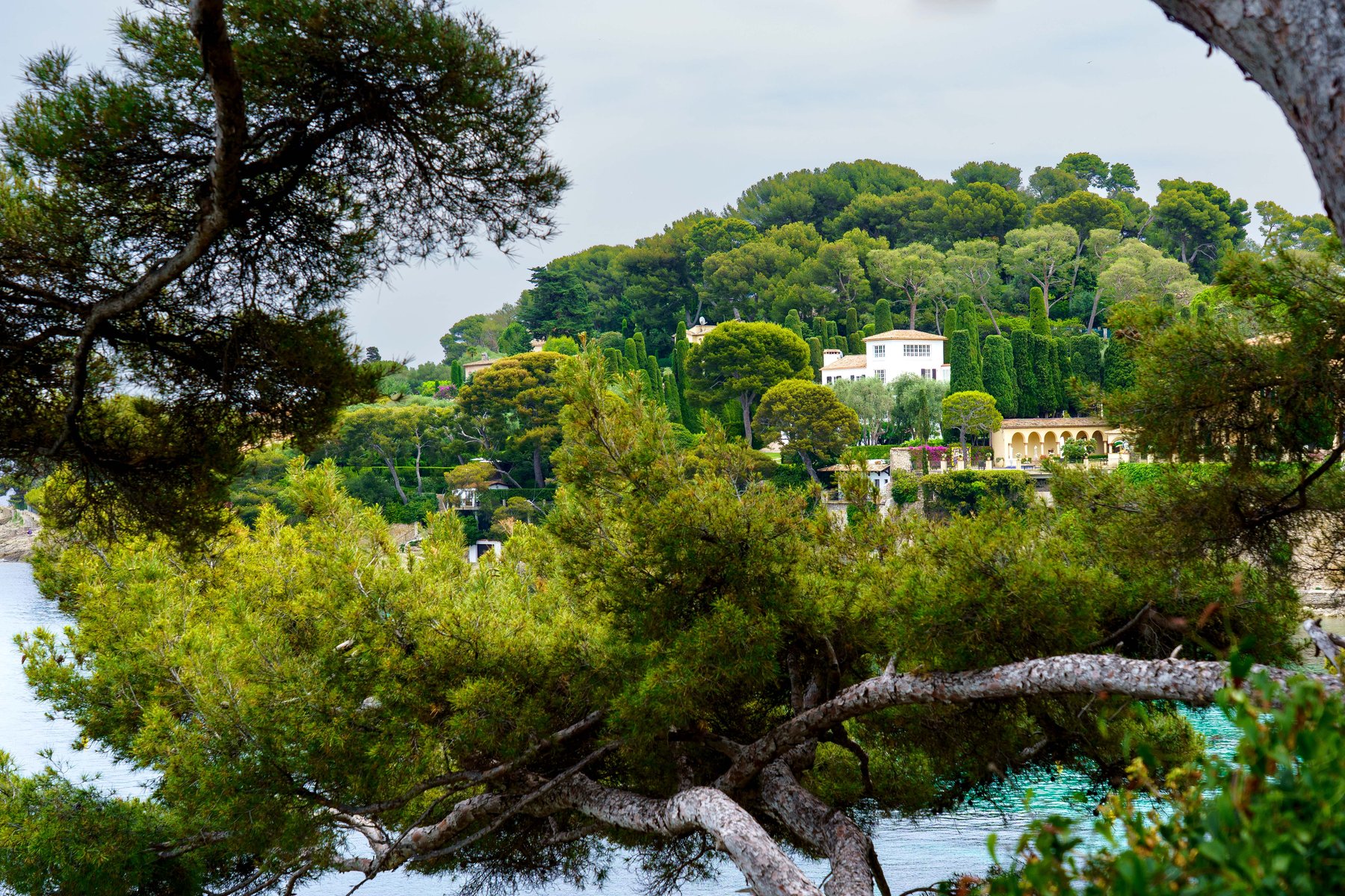 A villa glimpsed through umbrella pines along the Cap Ferrat coastal path