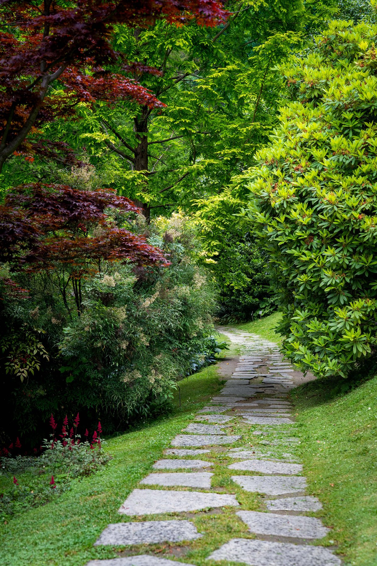 A stone path winding through Villa Melzi d'Eril's gardens