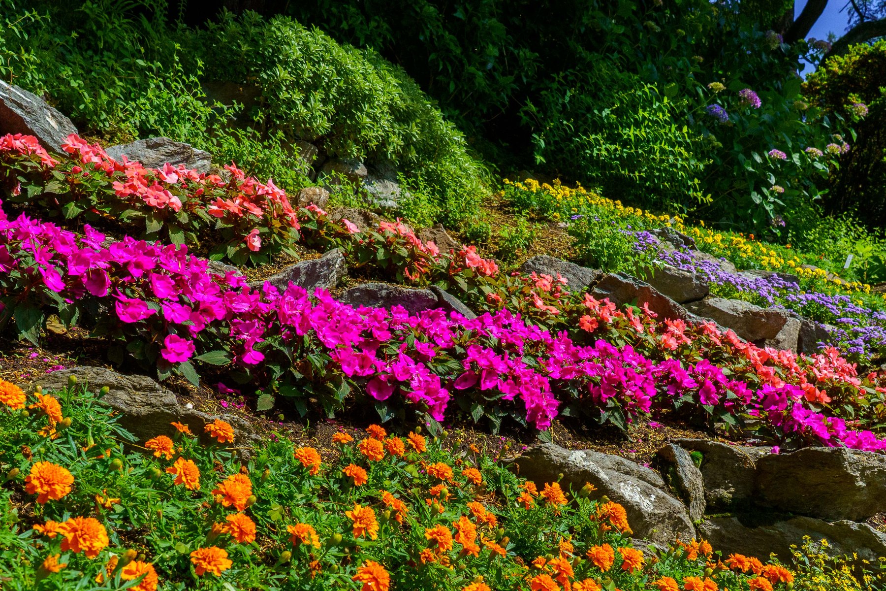Terraced flower beds in the gardens of Villa Carlotta