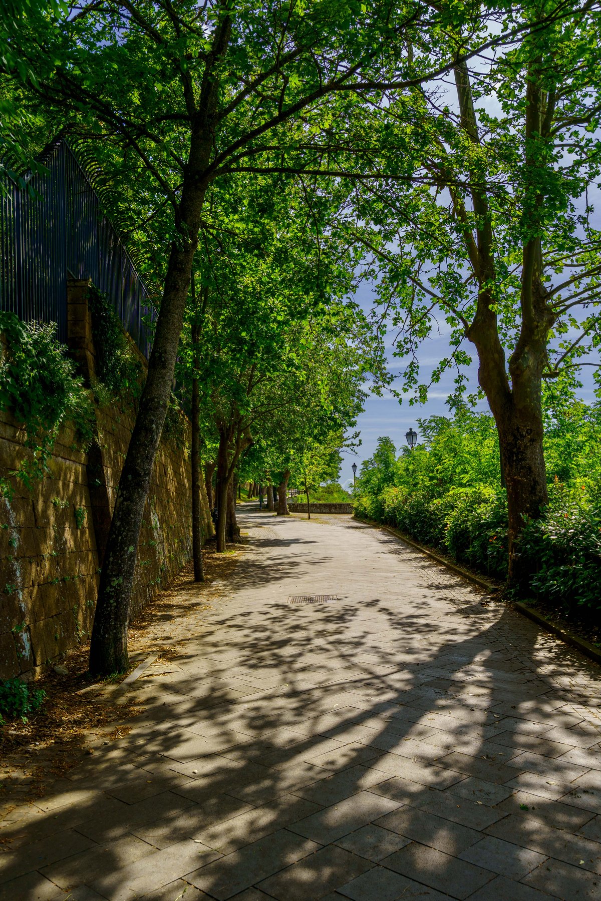 A tree-lined walkway along Orvieto's city walls