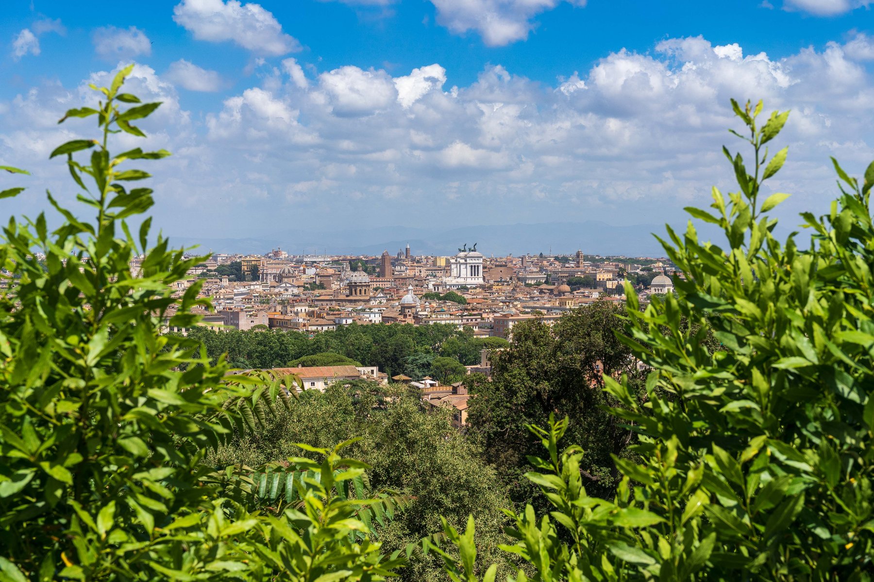 Rome's skyline seen through the greenery of the Janiculum Hill