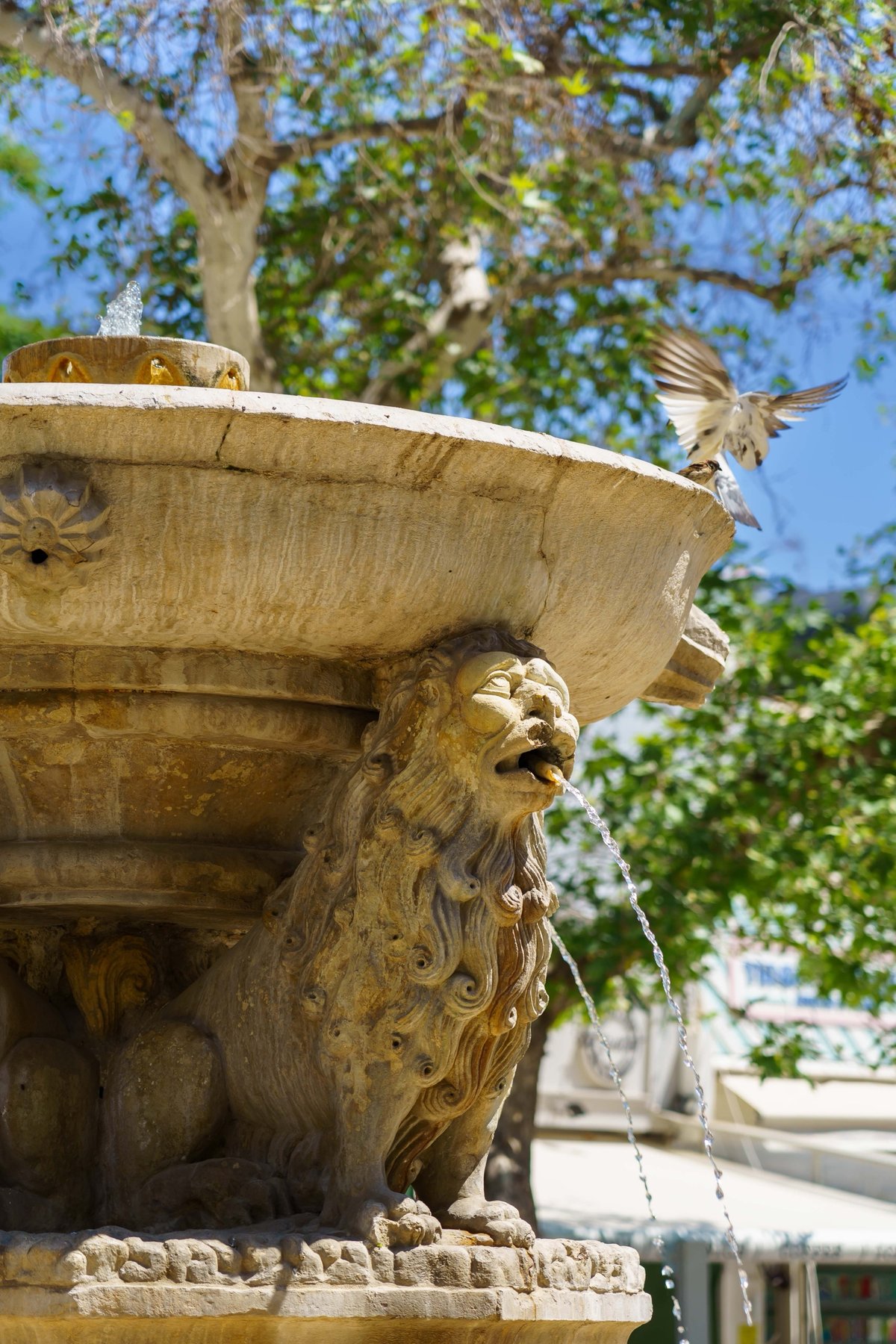 The Morosini Fountain with its lion spouts flowing in Heraklion