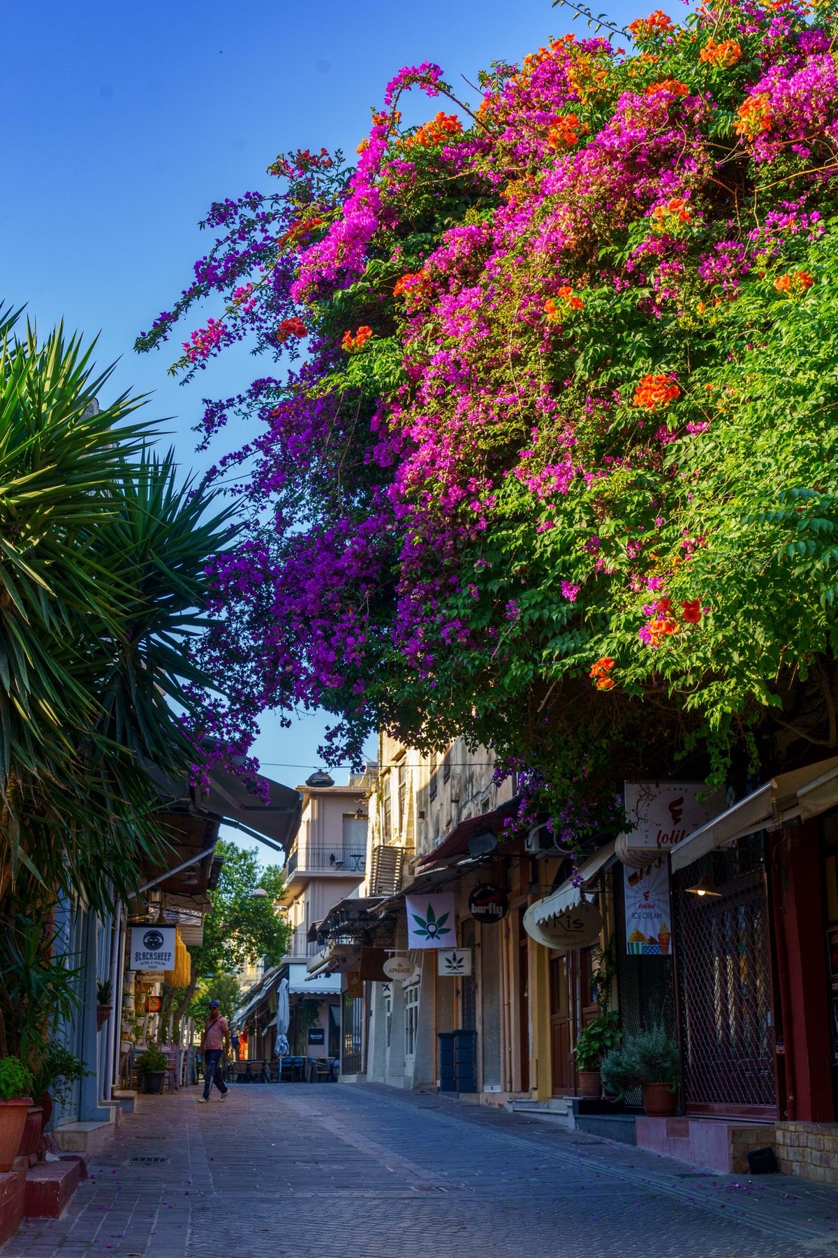 A bougainvillea-draped street in Chania's old town