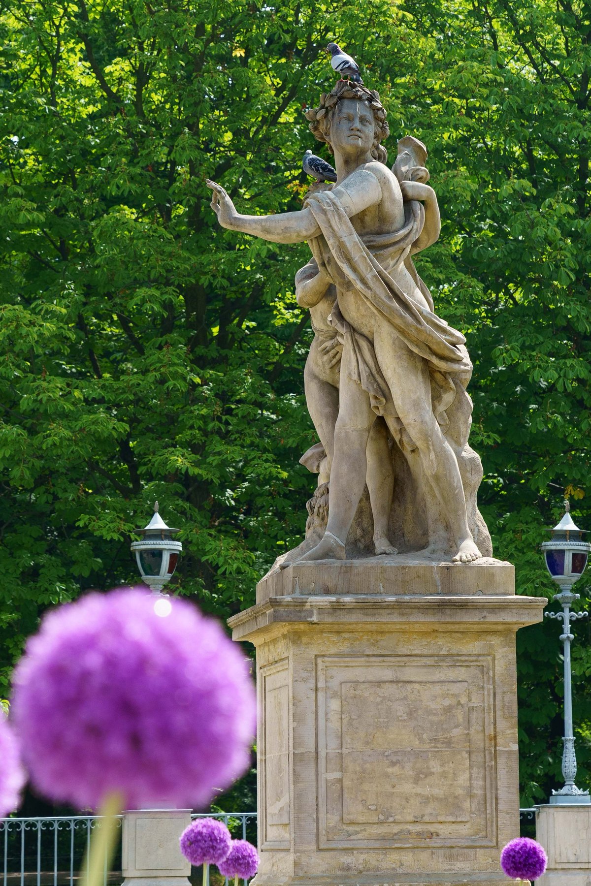 A baroque statue crowned by pigeons with purple alliums blooming nearby in Lazienki Park