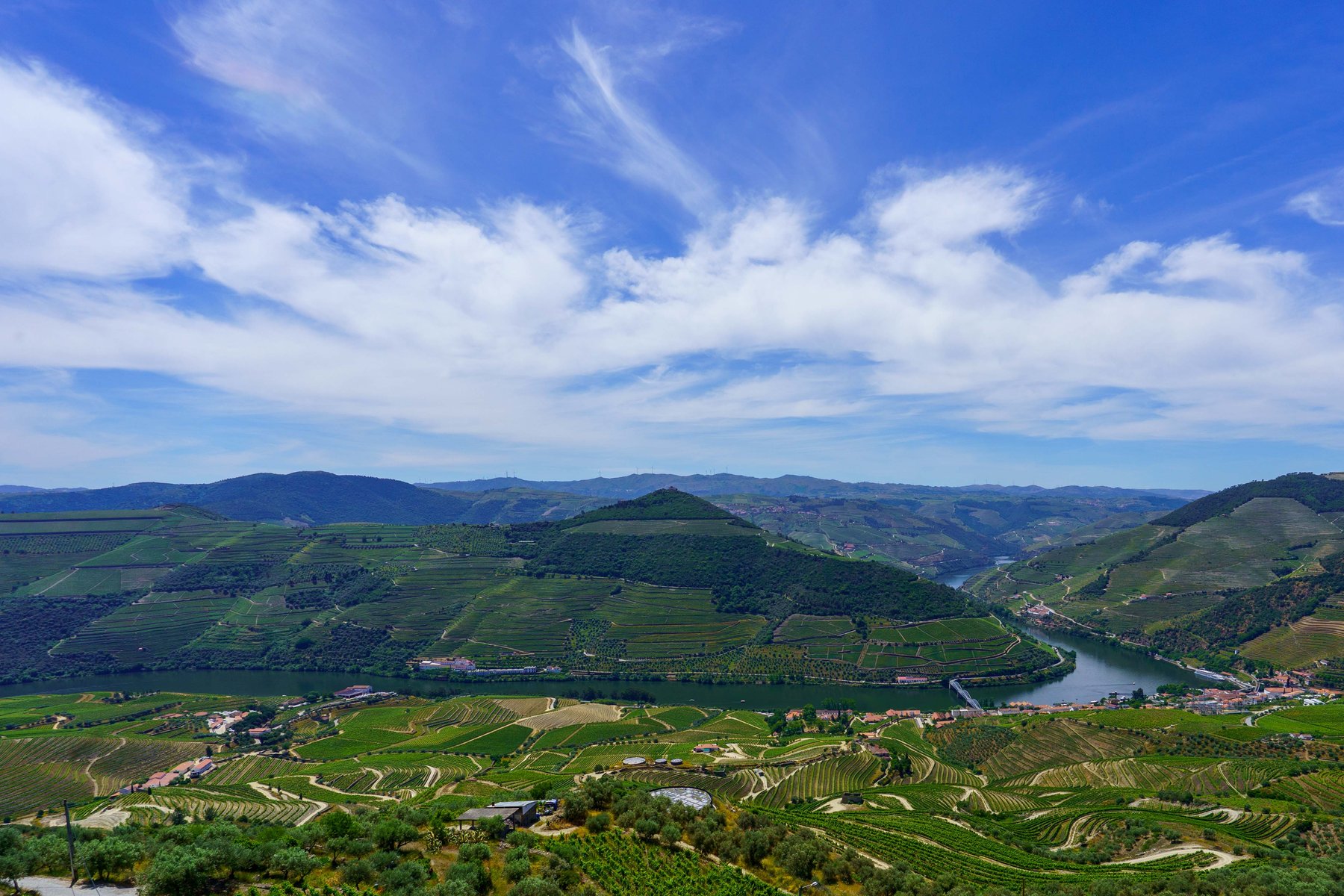 A panoramic view of the Douro Valley's terraced hillsides and river from the Casal de Loivos viewpoint