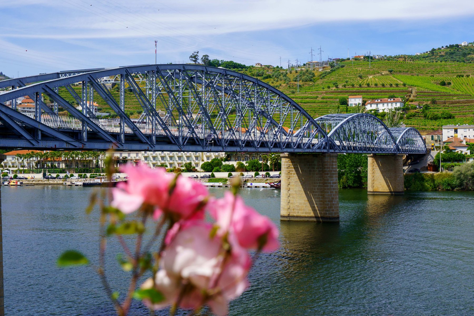 A blue truss bridge over the Douro River at Pinhão, seen past pink roses