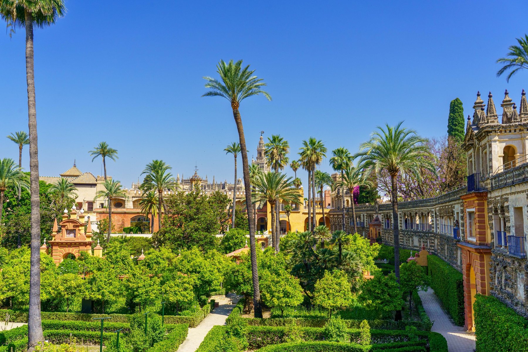 Palm-lined gardens at the Real Alcázar with the Giralda tower visible in the distance